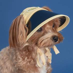 狗眼寵物遮陽帽, 黃色
