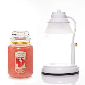 Aindy Timer 白色蠟燭加熱器 + Yankee Candle 大號 623g 套組, 1套, 白草莓貝里尼