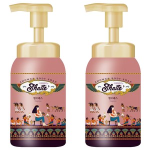 샤워때비누 버블 바디워시 엠프레스, 2개, 600ml