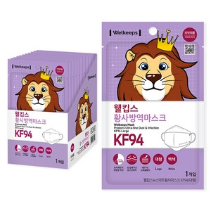 웰킵스 뉴스마트황사마스크 대형 KF94, 25개입, 1개, 백색