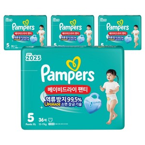 팸퍼스 2025 베이비드라이 팬티형 기저귀 남녀공용, 5단계, 144매