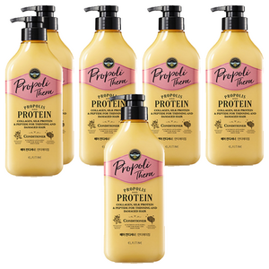 엘라스틴 프로폴리테라 안티에이징케어 컨디셔너, 500ml, 6개