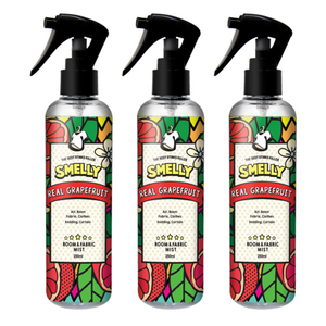 스멜리 섬유 탈취제 리얼 그레이프프룻, 250ml, 3개
