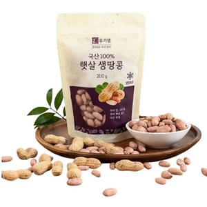 국내산 햇 살 생땅콩 삶아먹는 피땅콩 24년산, 1개, 200g