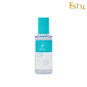 에스투(ESTU) 초당 포어 리프팅 고기능성 모공 앰플, 50ml, 1개