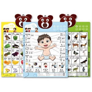 3개국어 말하는 벽보, 신체+과일야채