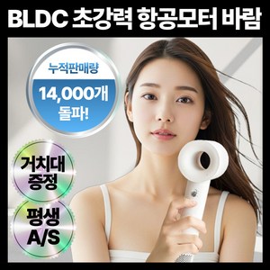 프랑스 BLDC 초고속 음이온 초경량 헤어 드라이기 거치대 노즐 포함 브러시리스 전문가용 1400W