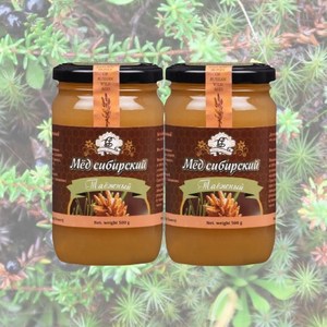 시베리아 타이가꿀 500g 2개 세트 세계5대 명품꿀 러시아 알타이 토종 야생화 숙성 수입 자연산 천연 벌꿀 선물, 1kg, 1세트
