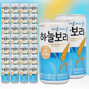 하늘보리 미니 캔 180ml 30개 사무실 업소 손님 접대 용 답례 단체 웅진 음료 수 세트