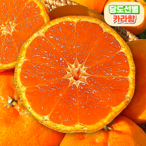 고당도 카라향 제주 산지직송, 1개, 2kg