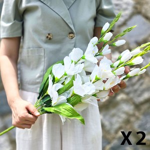오브꽃스 성묘조화 빅 델피니움 다발, 2개, 01.화이트