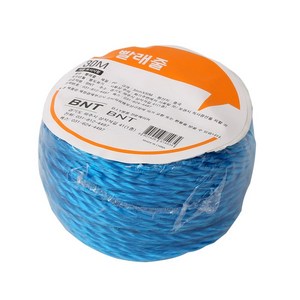 비앤티 빨래줄 3mm x 30m, 1개, 1개