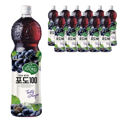 자연은 포도 주스 리뷰후기