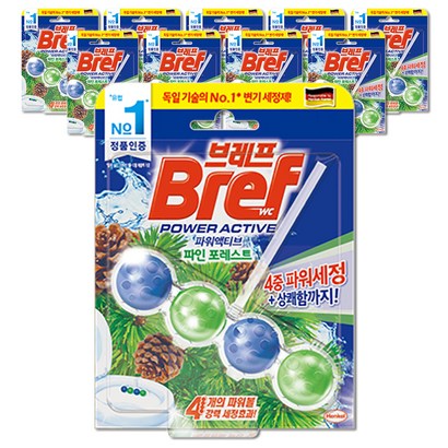 브레프 파워액티브 변기세정제 파인향 리뷰 후기