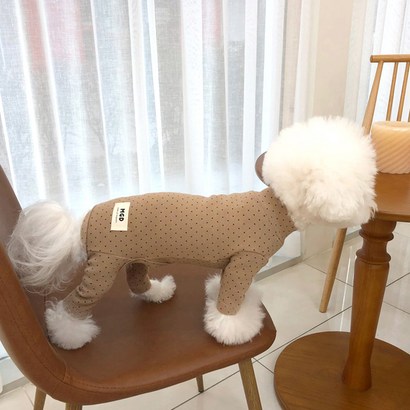 매그독 리엔도트 반려동물 올인원 리뷰후기