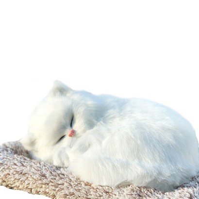 미니형 숯먹는 고양이 차량용 탈취용품 화이트양이