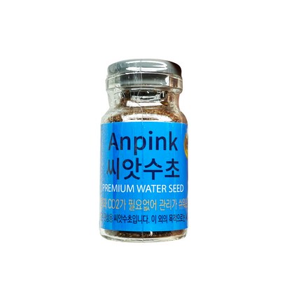 안핑크 씨앗수초 S