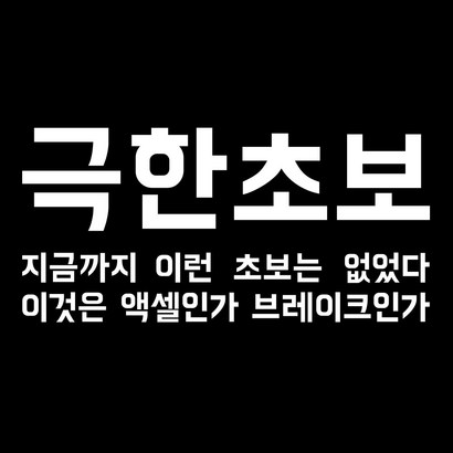 초보운전 차량용 스티커 극한초보