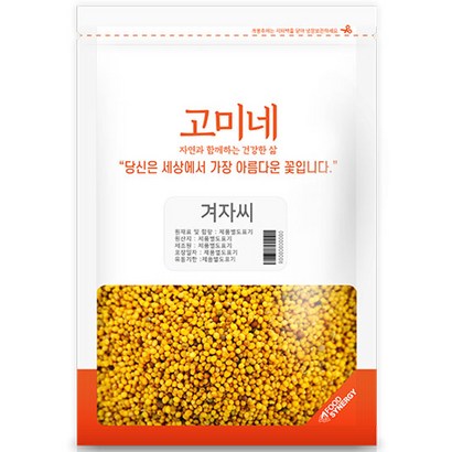 고미네 겨자씨