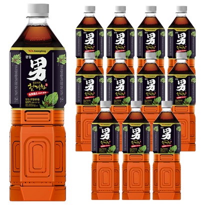 광동 힘찬하루 헛개차