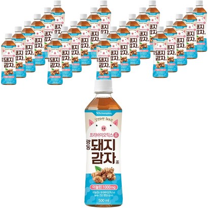 광동 돼지감자차