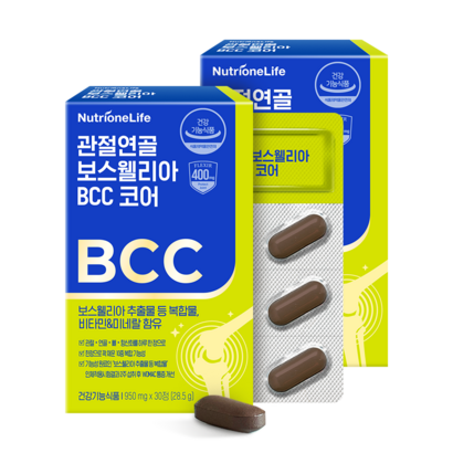 뉴트리원 관절 연골 보스웰리아 BCC 코어 가자추출물 강황추출물