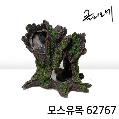 아이사이언스에듀 모스유목 어항유목 구피은신처 유목