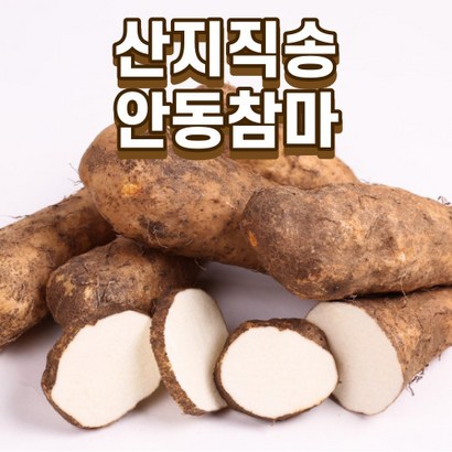국내산 자연산 안동 생참마 햇산마 장마 가정용 알뜰