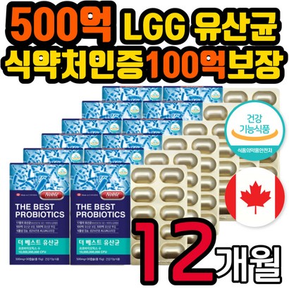 대용량 비피더스 생 유산균 캐나다직수입 신프로바이오틱스 캡슐 분말 가루 여자 남자 남성 여성 아내 남편 와이프 주부 직장인 회사원 동생 누나 언니 오빠 엄마 어머니 아버지 선물