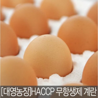 3일내 산란 대영농장 무항생제 특란 40/60구 달걀 계란