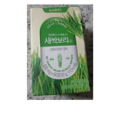 로엘 새싹보리정 리뷰후기