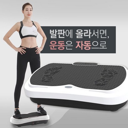 밸런스휴 S라인2 진동운동기구 실내 홈트 덜덜이 DQ-005 리뷰후기