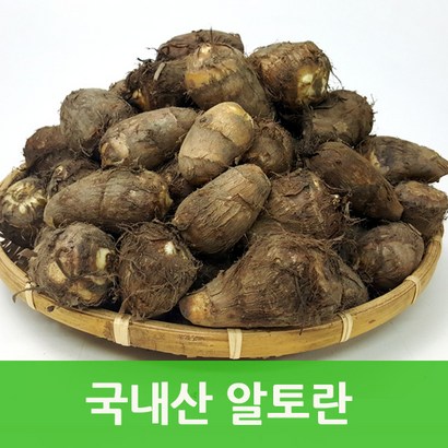 국내산 토란 알토란 웰빙푸드 싱싱지오