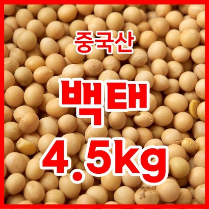백태 4 수입콩 수입산 원적외선 열을가한 볶은백태 메주콩/콩국수콩/두부콩