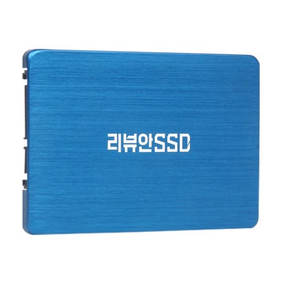 리뷰안 900G Bue 25 SATA SSD 리뷰후기