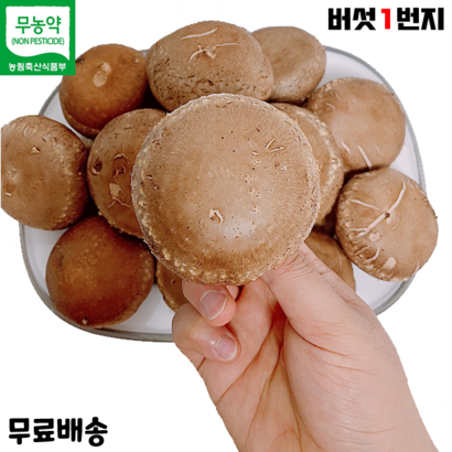 버섯1번지 장흥 무농약 국내산 생 표고버섯 정품 특상품 리뷰후기