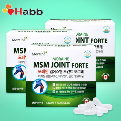 모레인 엠에스엠 조인트 포르테 120정X3박스 6개월분 MSM 유황 리뷰후기