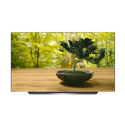 전자 UHD 올레드 AI ThinQ TV OED55CXNA