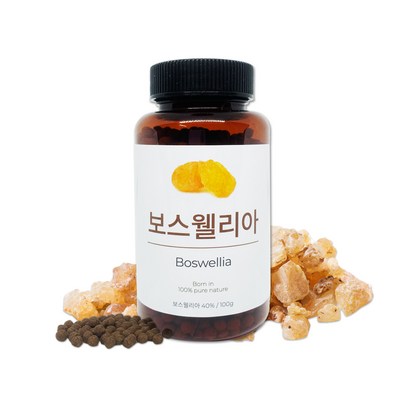 무릎 관절 연골에 좋은 보스웰리아 먹기편한 더좋은식품 보스웰리아환