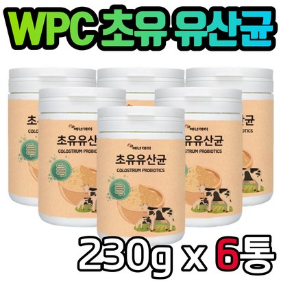 온가족 초유 단백질 유산균 x6봉 프로틴 분말 파우더 쉐이크 WC 바이오틱스 락토바실러스 람노서스 람노스 신 프리 프로 아버지 어머니 부모님 여성 남성 남자 여자 선물