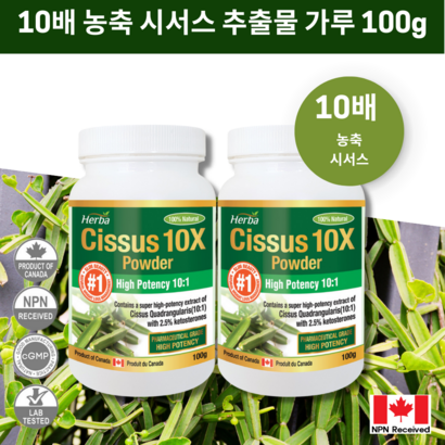 시서스 가루 분말 10배 농축 캐나다 식약처 인증 허바캐나다
