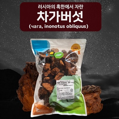신영몰 차가버섯 러시아산 시베리아 야생버섯 원물재료