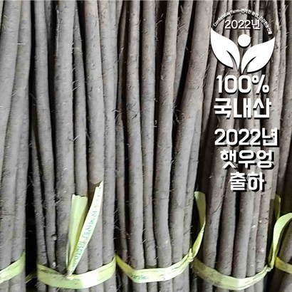 <컴팜> 2021년 첫 햇우엉