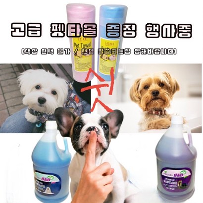 B&a;B 일반용 샴푸린스 겸용 대용량 / 4L 유색견 / 모든 견용 퍼퓸샴푸 향수 샴푸린스 리뷰후기