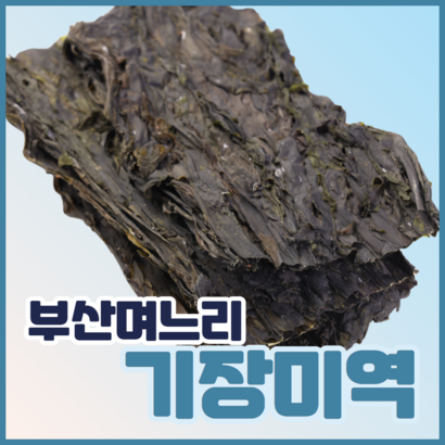 부산며느리 자연산 기장 미역 산모미역