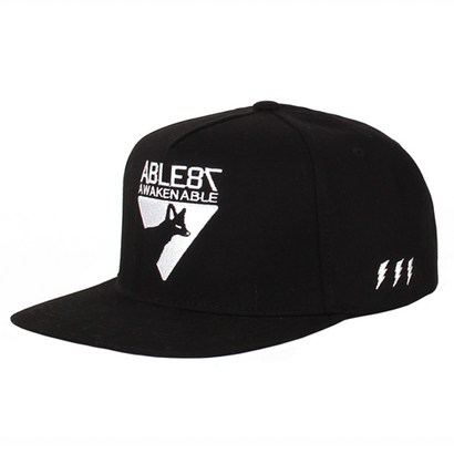 DESERT FOX EMBLEM SNAPBACK 리뷰후기