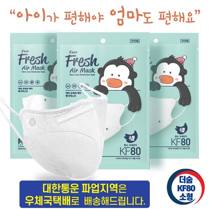 새부리형 더숨 에버프레쉬 KF80 소형 어린이용 쿨링감소재 화이트 보건용 마스크