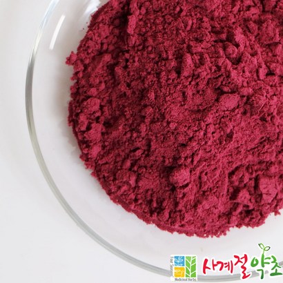 사계절약초 국내산 백년초가루 리뷰후기