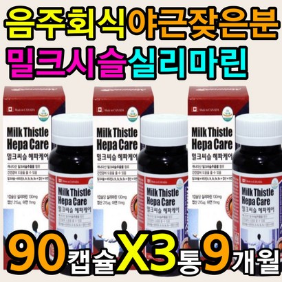 활성 산소 제거 간 항산화 에 좋은 실리마린 밀크씨슬 AT AST 감마지피티 음주 숙취 해소 해장 비 알콜성 알코올 분해 지방 음주 전 후 체내 에너지 생성 대사 활력 기력 체력