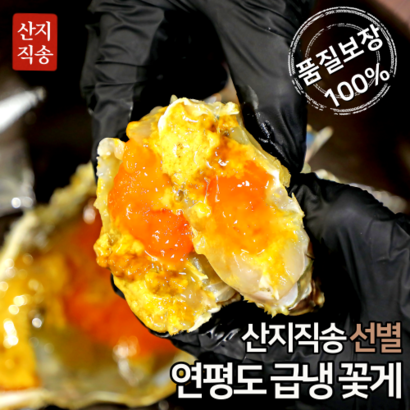 꽃게 국산 급냉 알배기 암꽃게 숫꽃게 냉동꽃게 리뷰 후기
